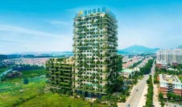 鳌江天悦湾最新消息爆料,揭秘项目最新进展与亮点”