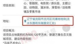 沈阳华润爆料最新消息,揭秘项目进展与市场动态