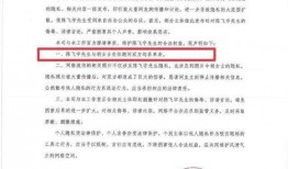 陈飞爆料视频大全下载,揭秘幕后真相，带你走进事件核心