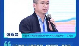 浙江新闻爆料林先生是谁,揭秘林先生的真实身份