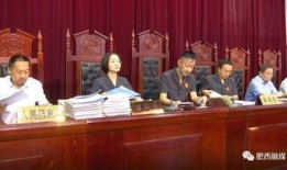 肥西县今天爆料案件最新,案情细节及进展全解析