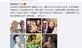 爆料导演事件视频大全,揭秘幕后的真相与争议