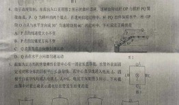 眉山地区热点爆料新闻最新,考古新发现引热议！