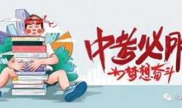 万科爆料最新消息视频大全,揭秘视频大全背后的行业动态
