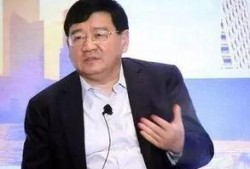 爆料徐小平视频大全集,揭秘创业导师的智慧与风采