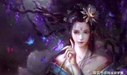 九尾狐云最新爆料,揭秘娱乐圈惊天秘密