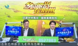 为民发声新闻爆料,揭开新闻爆料背后的真相与力量