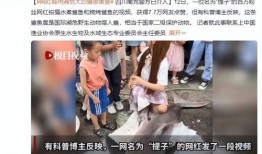 白鲨最新爆料新闻视频,揭秘神秘新闻背后的真相