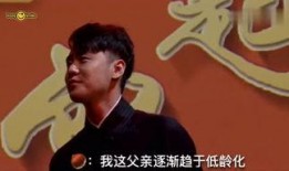 爆料法国刘哥视频大全,视频大全背后的故事与真相