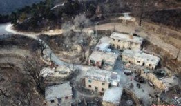 石头镇最新爆料新闻,揭秘事件背后惊人真相