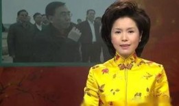 李萱最新爆料新闻联播在线观看,揭秘新闻联播幕后故事，在线观看精彩瞬间