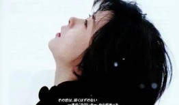 情书 在线观看,浪漫邂逅，心灵相通的动人篇章