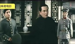 老电影知音在线观看,经典老电影，重温岁月流转的动人旋律