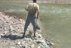 捡鱼赶海视频爆料,海浪中的惊喜瞬间！