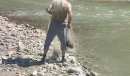 捡鱼赶海视频爆料,海浪中的惊喜瞬间！