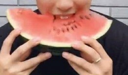 网红狗哥吃瓜,揭秘网红狗界的最新热点事件