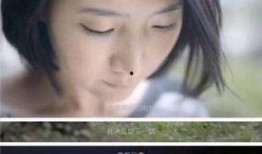 范成林前妻爆料了吗视频,真相究竟如何？
