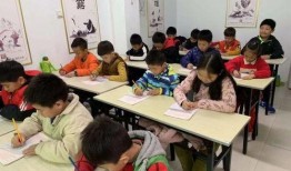 开封小学生最新爆料事件,揭开校园安全与教育监管的隐忧