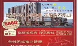 深圳公明新闻爆料,揭秘深圳公明最新动态与热点事件