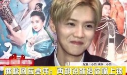 卓伟爆料过鹿晗嘛视频在线观看,揭秘明星幕后真相