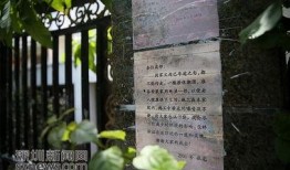 违建能作为新闻爆料吗,揭开城市乱象背后的真相