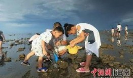 捡鱼赶海视频爆料,海浪中的惊喜瞬间！