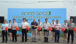 洪洞陈村新闻最新爆料,揭秘陈村发展新动态，村民生活焕新颜