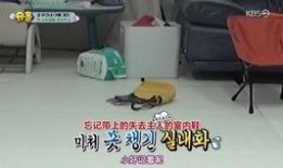 狗哥直播爆料视频,独家爆料视频内容大起底