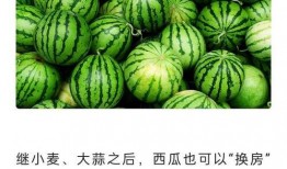 怎么能免费吃瓜,轻松享受夏日清凉