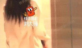 四大绯闻爆料视频播放大全,四大绯闻视频播放大全深度解析