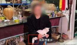 潍坊爆料博主事件视频,真相与争议交织的舆论漩涡