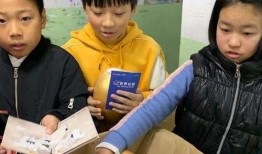 开封小学生最新爆料事件,揭开校园安全与教育监管的隐忧