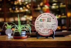 糟茶爆料最新视频,幕后真相大曝光！