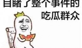 娱乐吃瓜君被告什么意思,被告背后的真相揭秘