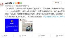 南京学生爆料案件视频,惊人真相揭露校园安全隐忧