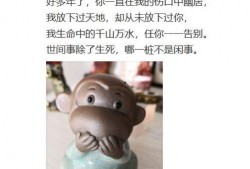 快播在线观看奴,揭秘网络色情内容的灰色地带