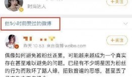 娱乐圈吃瓜爆料素材文件,揭秘明星背后的故事与真相