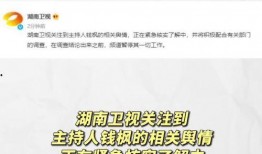 娱乐圈吃瓜爆料素材文件,揭秘明星背后的故事与真相