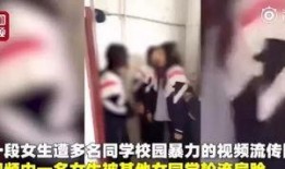 马先生爆料女孩视频,女孩神秘视频引发热议
