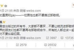 四大绯闻爆料视频播放大全,四大绯闻视频播放大全深度解析