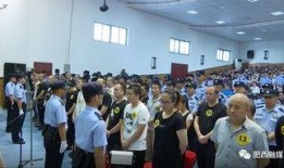 肥西县今天爆料案件最新,案情细节及进展全解析