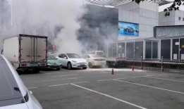 爆料海豚自燃视频播放,真相究竟如何？